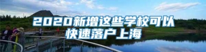 2020新增这些学校可以快速落户上海