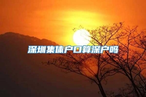 深圳集体户口算深户吗