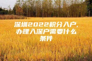 深圳2022积分入户,办理入深户需要什么条件