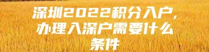 深圳2022积分入户,办理入深户需要什么条件