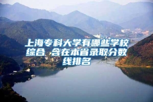 上海专科大学有哪些学校综合 含在本省录取分数线排名