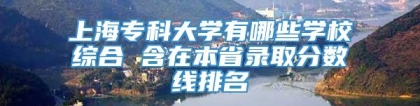 上海专科大学有哪些学校综合 含在本省录取分数线排名