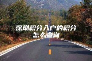 深圳积分入户的积分怎么查询