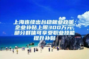 上海连续出台稳就业政策：企业补贴上限300万元，部分群体可享受职业技能提升补贴