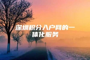 深圳积分入户网的一体化服务