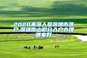 2020来深人员深圳市落户,深圳南山积分入户办理哪家好