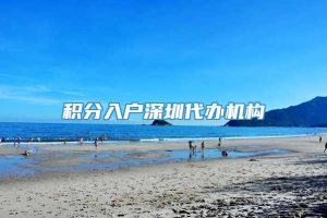 积分入户深圳代办机构