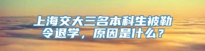 上海交大三名本科生被勒令退学，原因是什么？