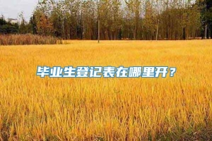 毕业生登记表在哪里开？