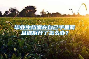 毕业生档案在自己手里而且被拆开了怎么办？