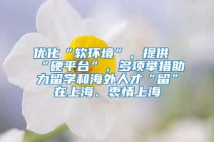 优化“软环境”，提供“硬平台”，多项举措助力留学和海外人才“留”在上海、衷情上海