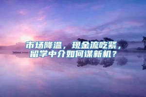 市场降温，现金流吃紧，留学中介如何谋新机？