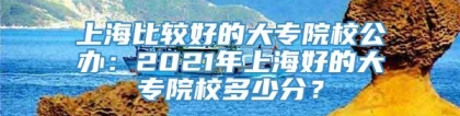 上海比较好的大专院校公办：2021年上海好的大专院校多少分？