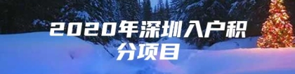 2020年深圳入户积分项目