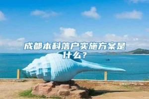 成都本科落户实施方案是什么？