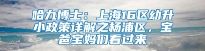 哈九博士：上海16区幼升小政策详解之杨浦区，宝爸宝妈们看过来