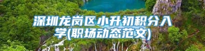 深圳龙岗区小升初积分入学(职场动态范文)